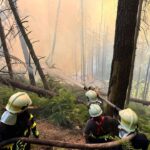 V Národním parku České Švýcarsko bojují požárníci s požárem